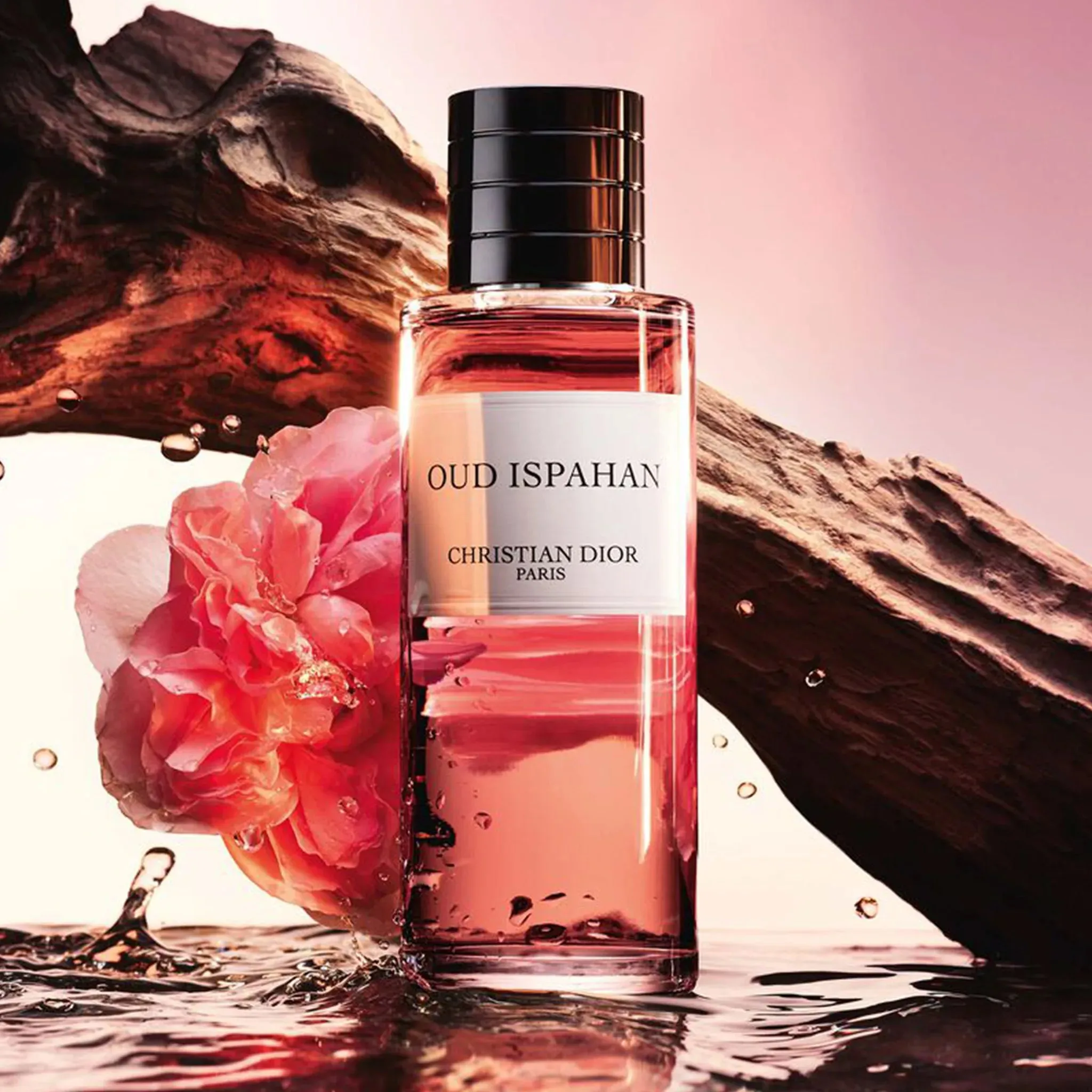 Dior Oud Ispahan Fragrance 250ml