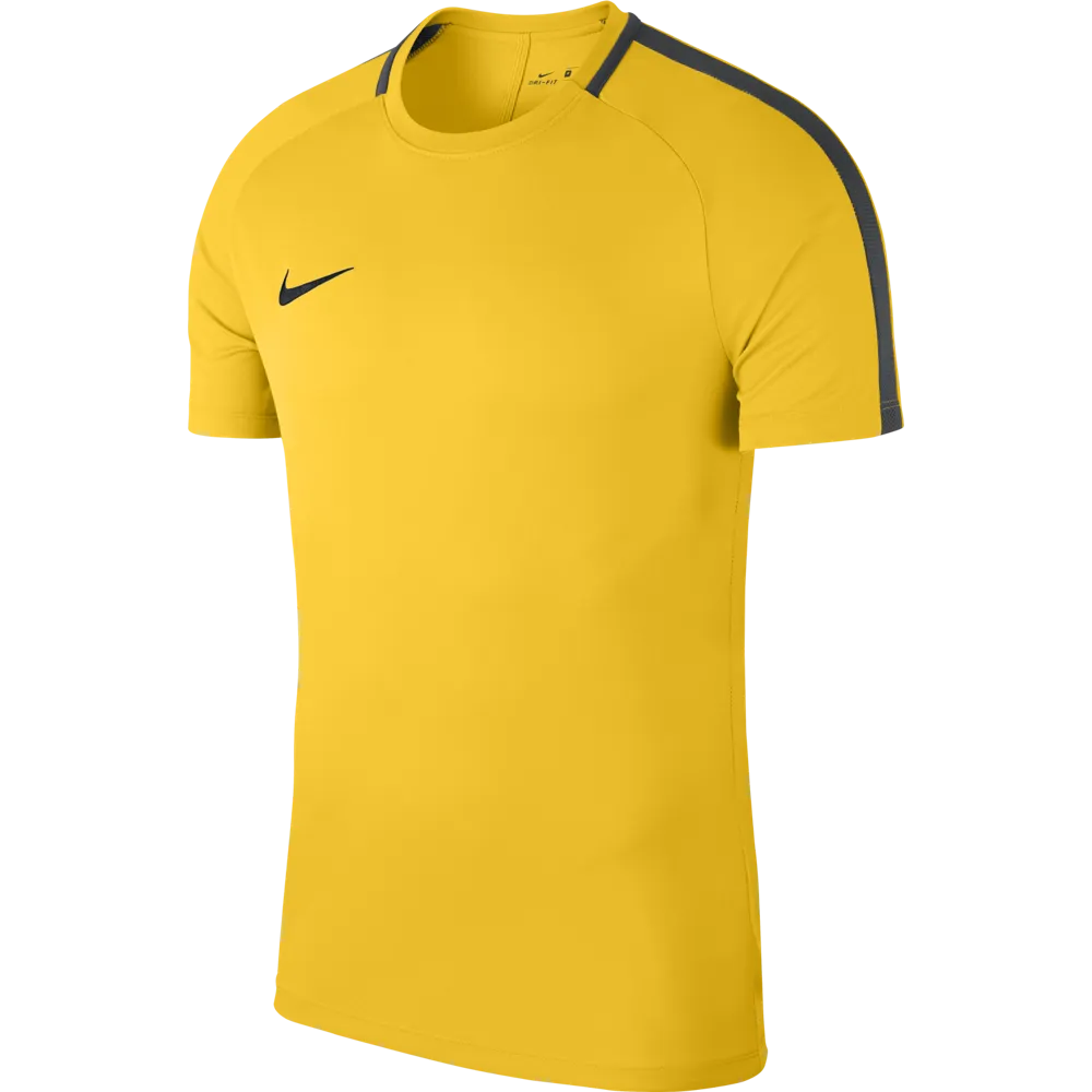 Nike Academy 18 Jersey